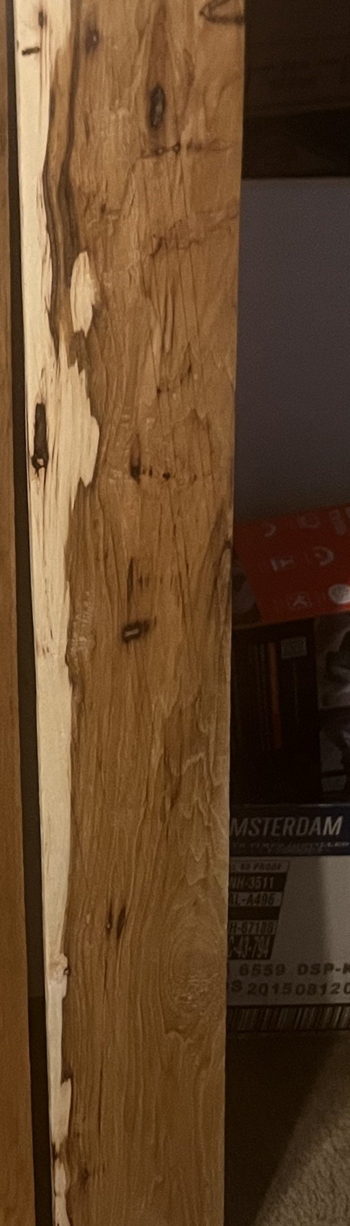 Spalted Ambrosia Maple